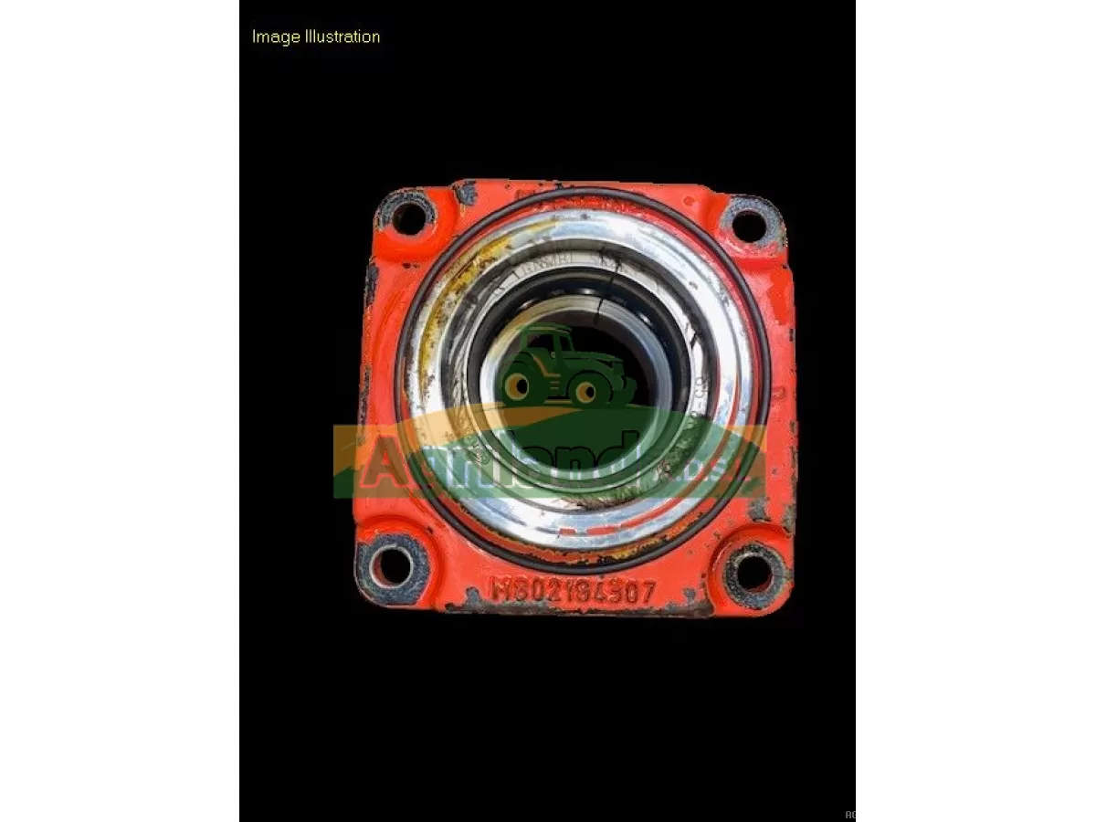 PALIER INF EXT DM LAT ET CENTRAL 