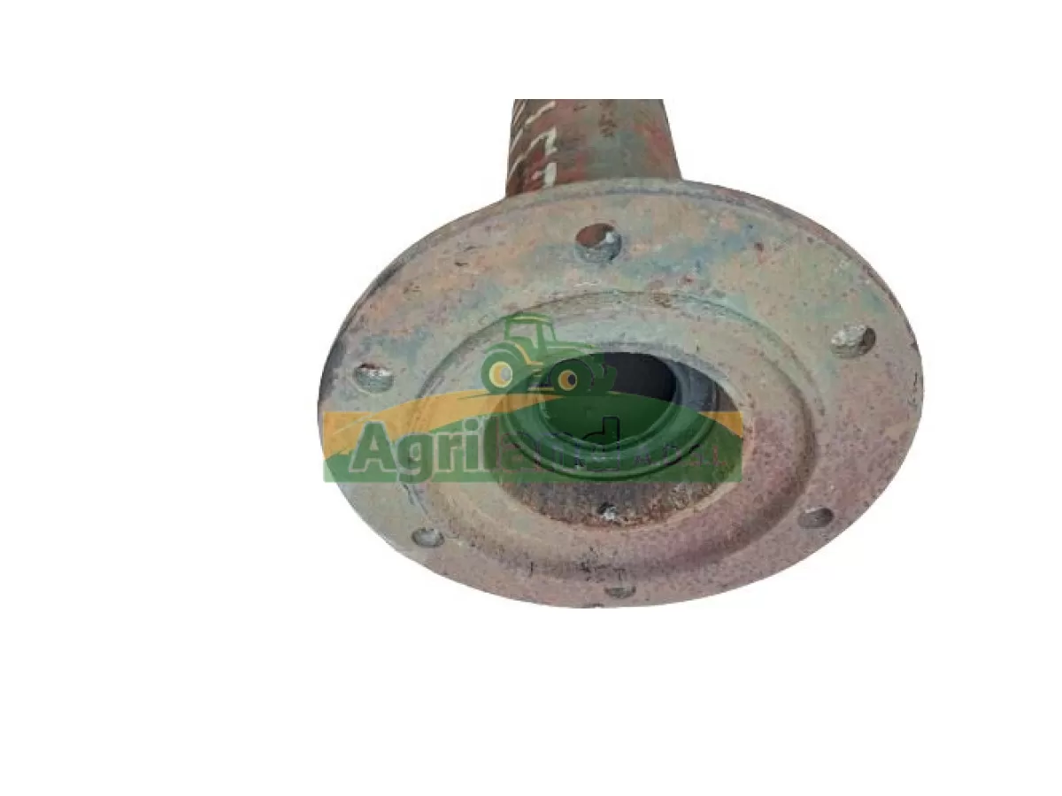 TROMPETTE (COTE ENTRAINEMENT)