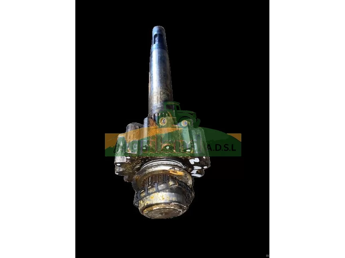 ARBRE D'ENTRAINEMENT 