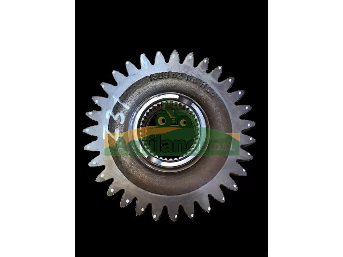 PIGNON Z31 D'EMBRAYAGE AVANT
