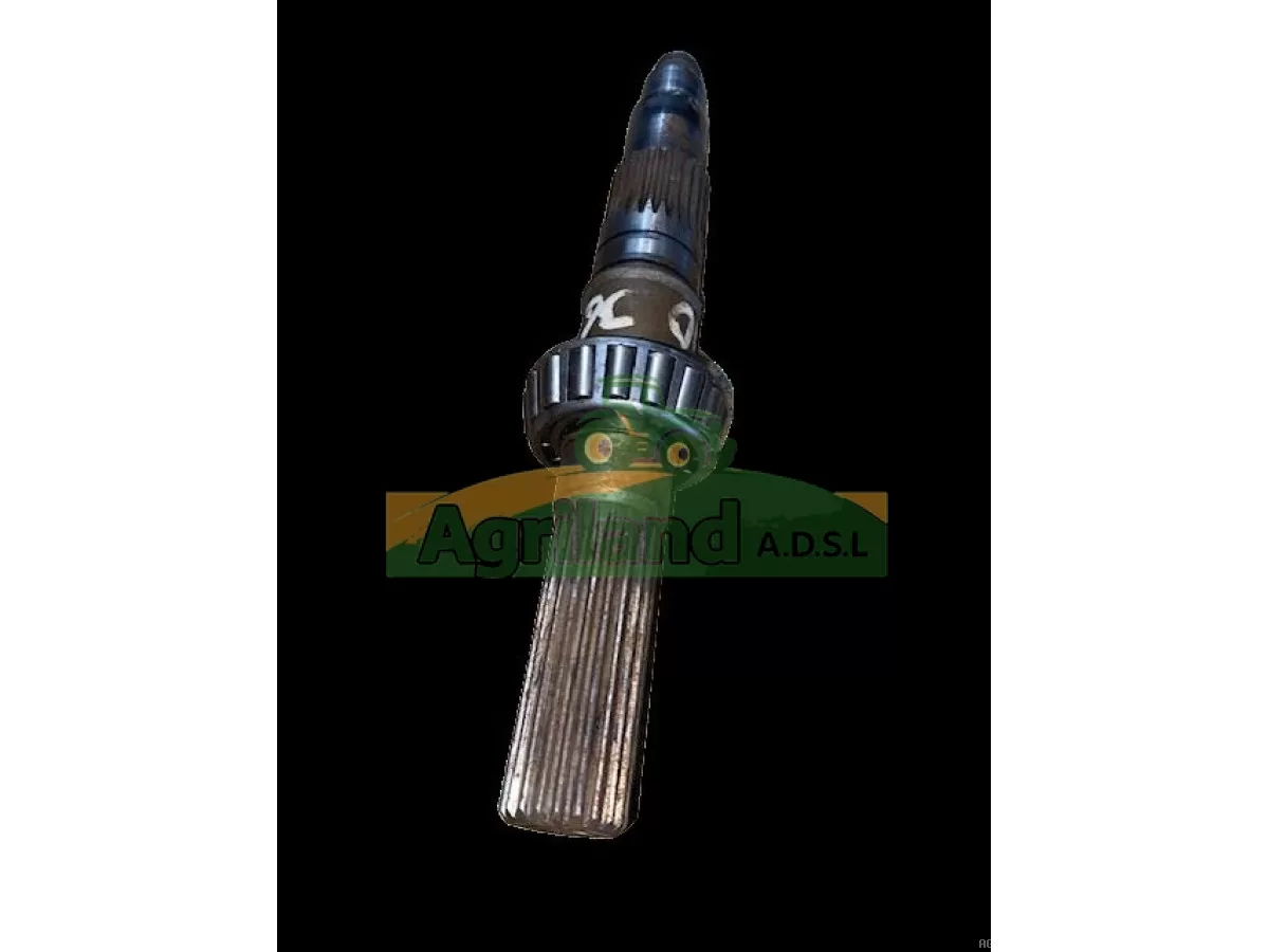 ARBRE D'ENTRAINEMENT 