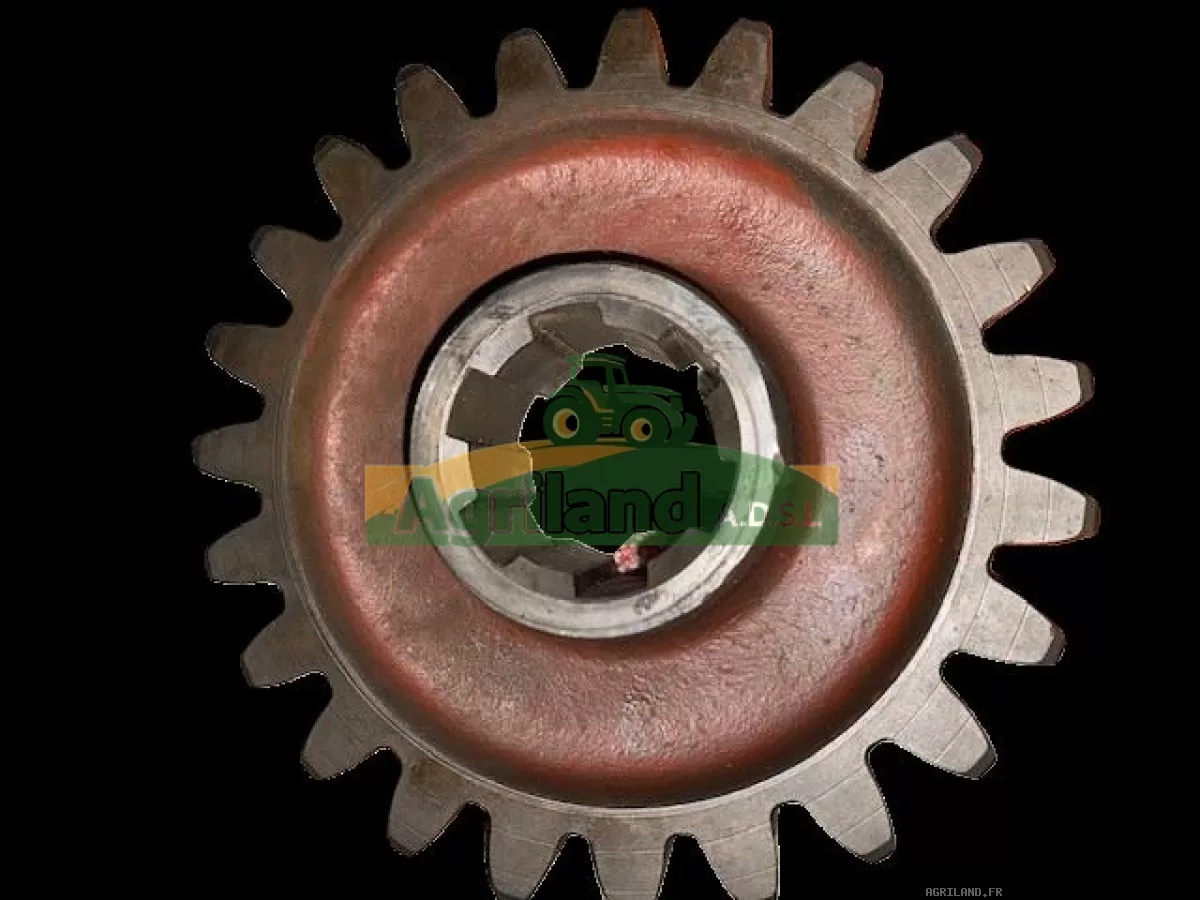 PIGNON Z23