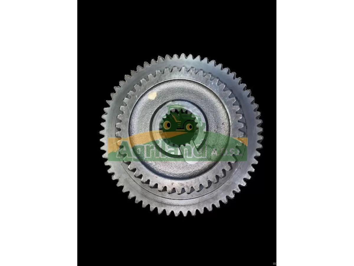 PIGNON DOUBLE Z43/62