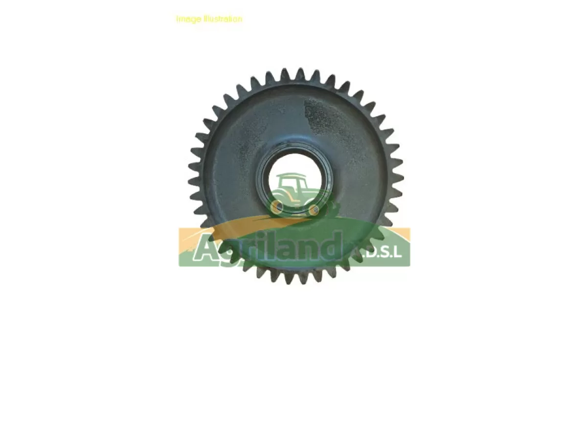 PIGNON Z42 