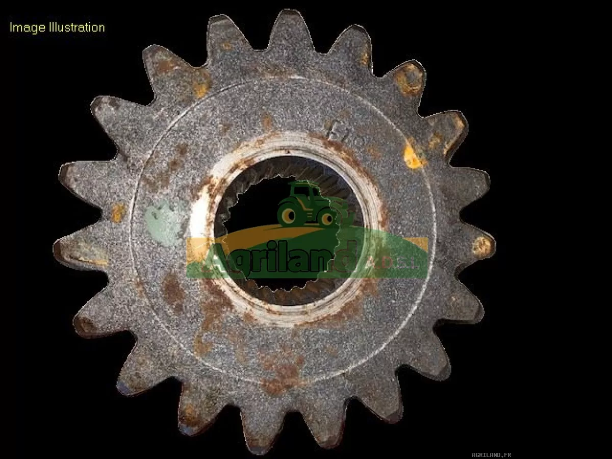 PIGNON DE BOITIER Z19