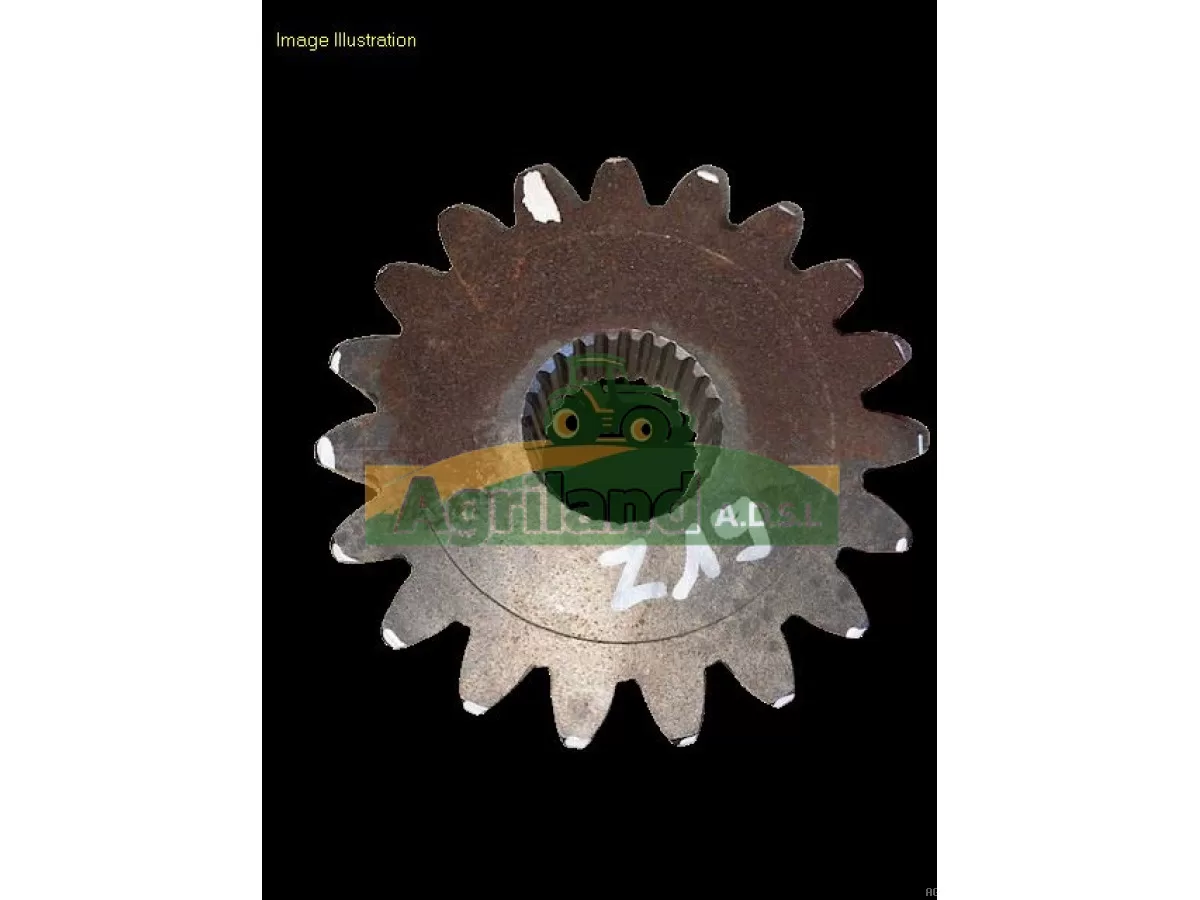 PIGNON DE BOITIER Z19