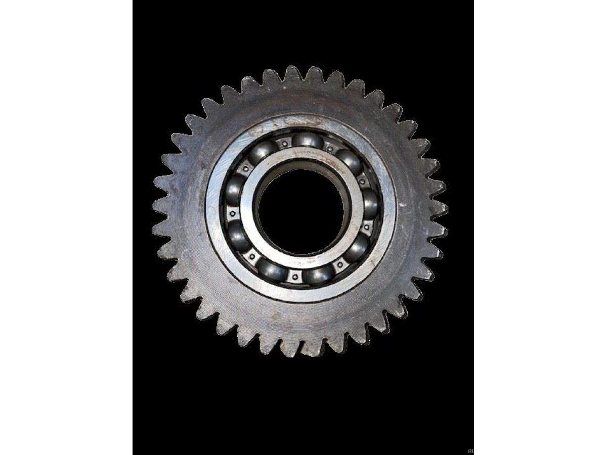 PIGNON INTERMEDIAIRE Z38