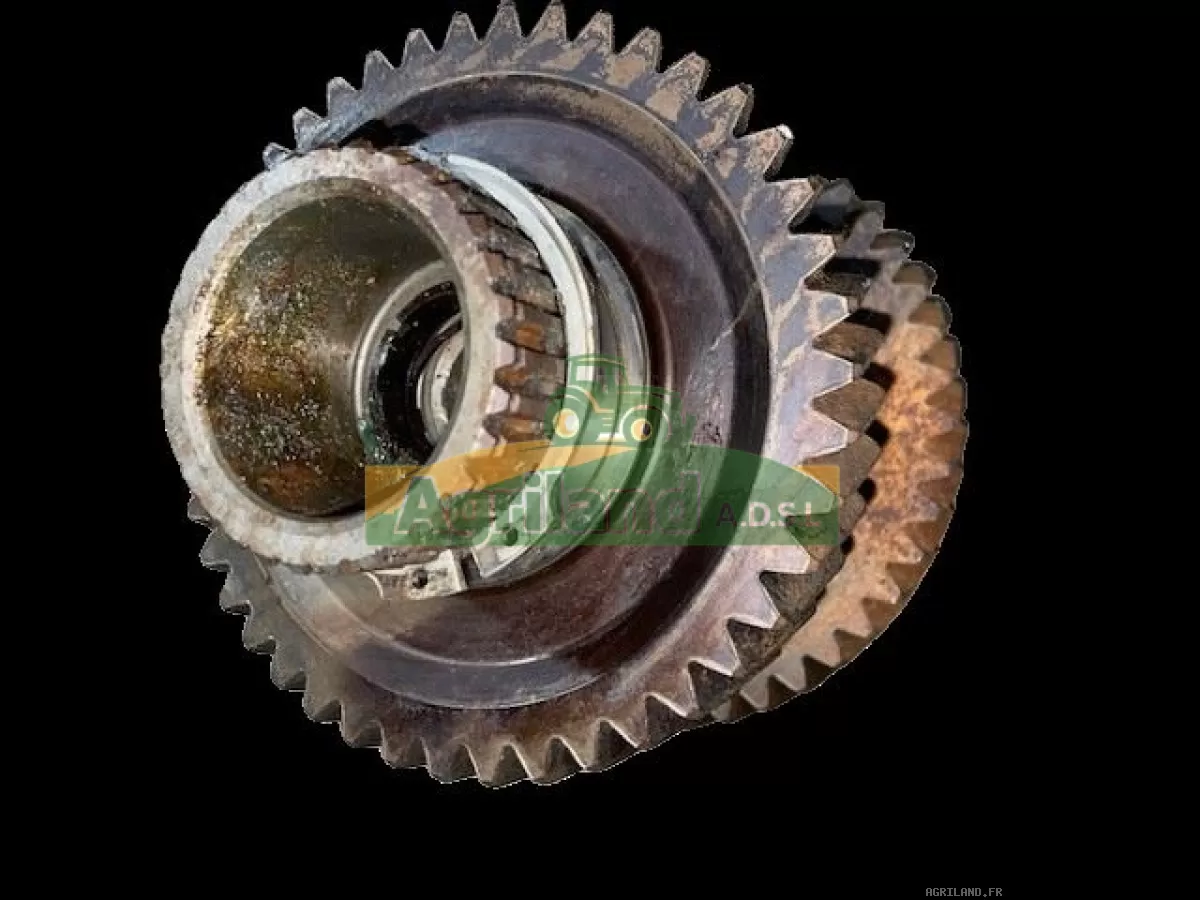 ARBRE D'ENTRAINEMENT 