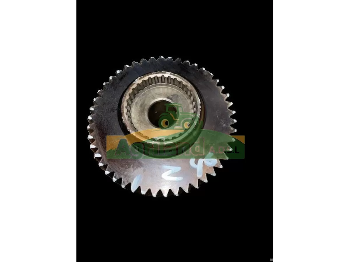 ARBRE D'ENTRAINEMENT 