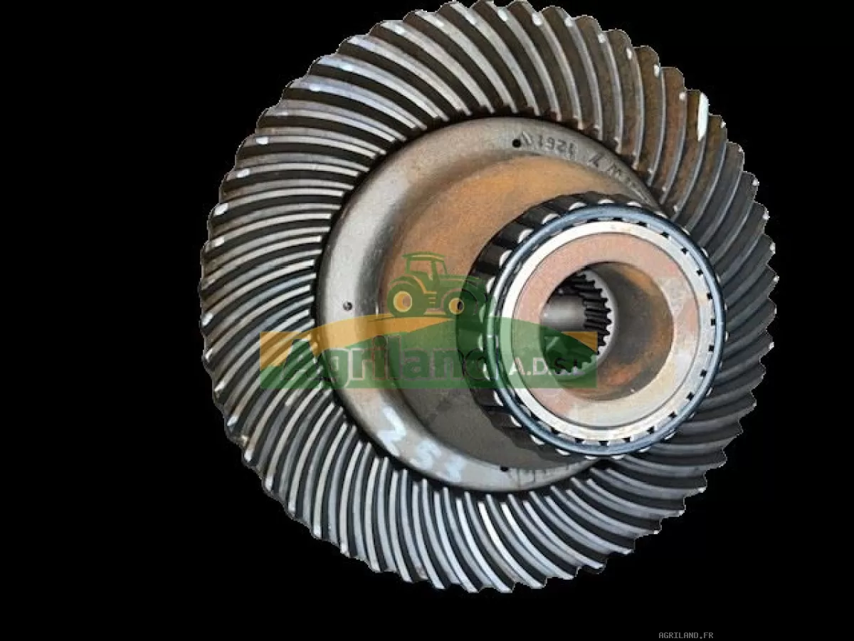 COUPLE CONIQUE ARR  Z9/53 ( AVEC PIG SUR L'ARBRE)