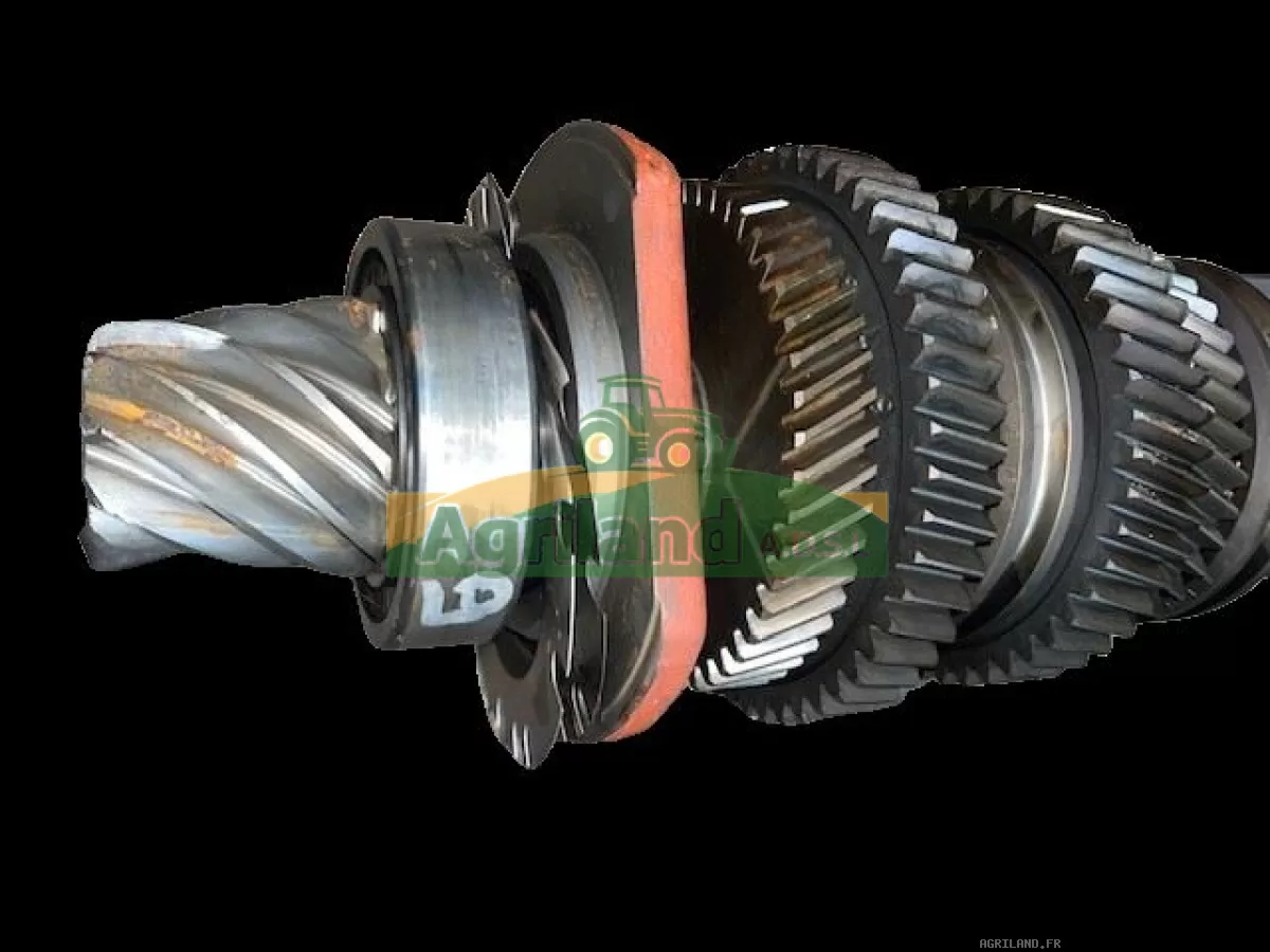 COUPLE CONIQUE ARR  Z9/53 ( AVEC PIG SUR L'ARBRE)