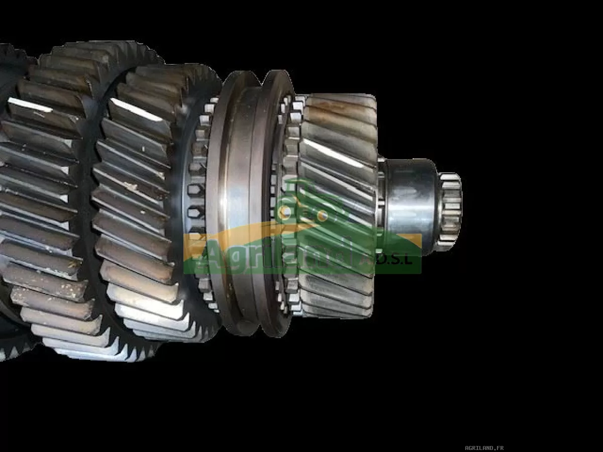 COUPLE CONIQUE ARR  Z9/53 ( AVEC PIG SUR L'ARBRE)