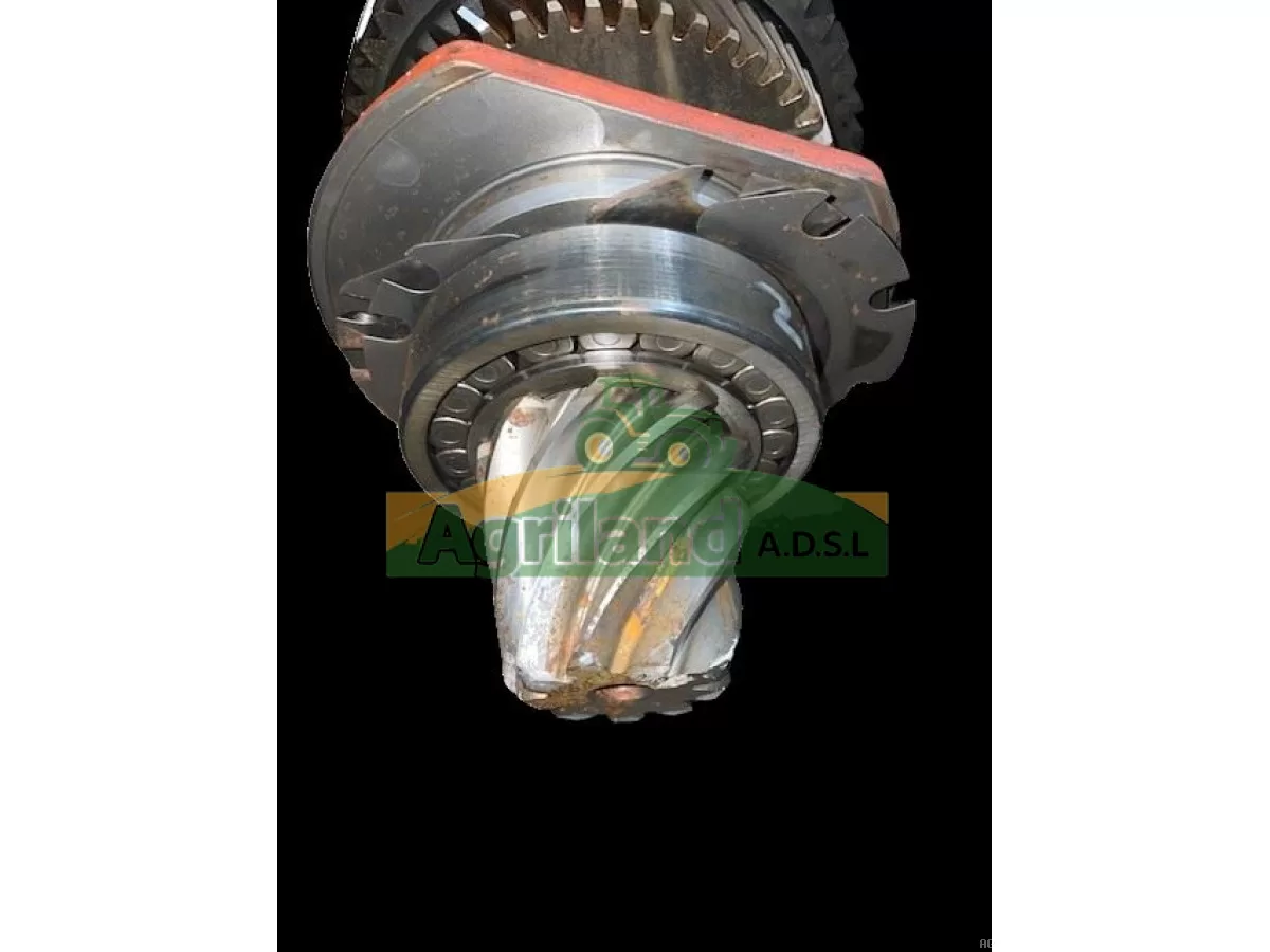 COUPLE CONIQUE ARR  Z9/53 ( AVEC PIG SUR L'ARBRE)