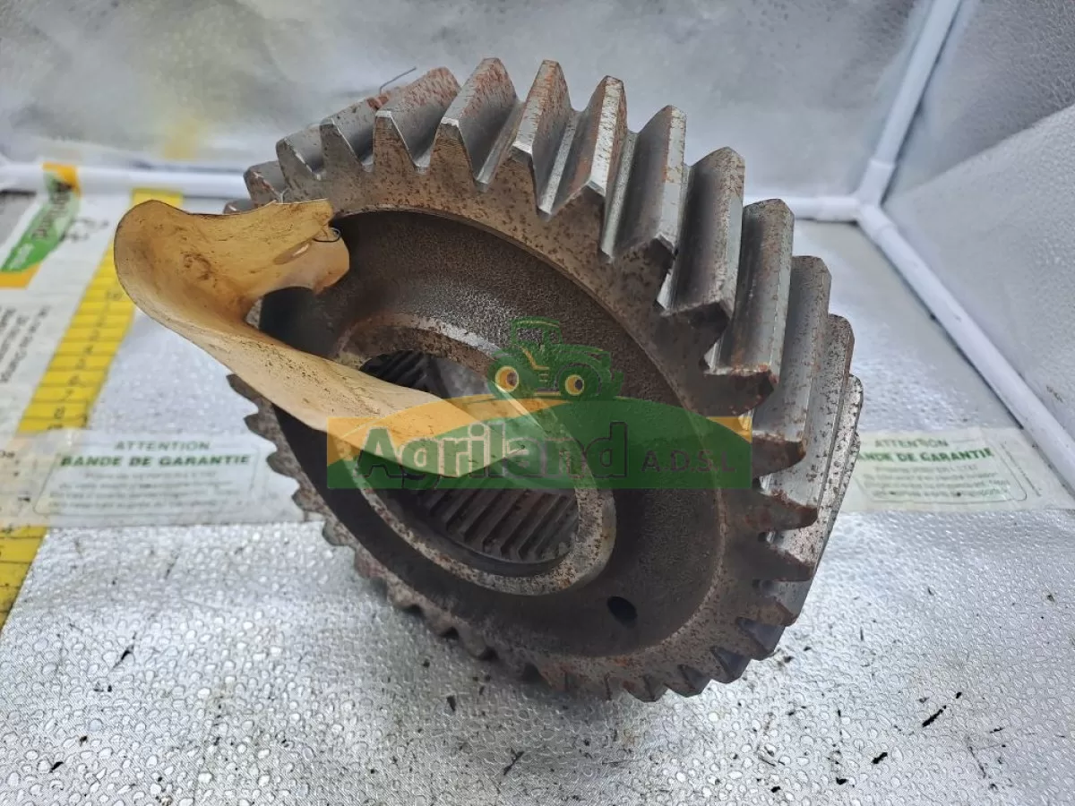 PIGNON Z34 A DENTURE OBLIQUE