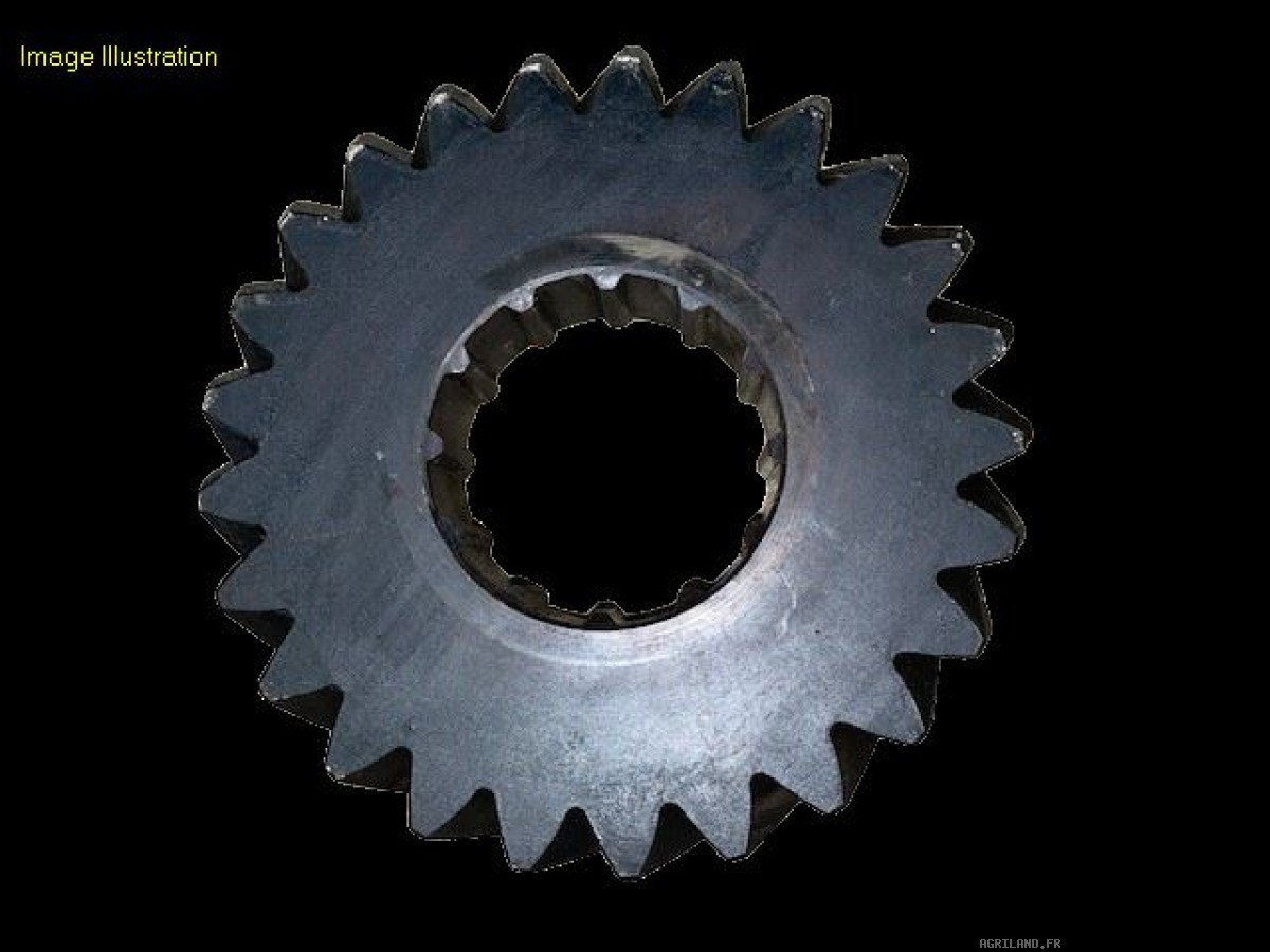 PIGNON Z25 (30KM/H, 40KM/H)