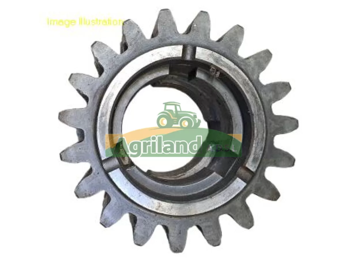 PIGNON Z19 DE BOITIER 