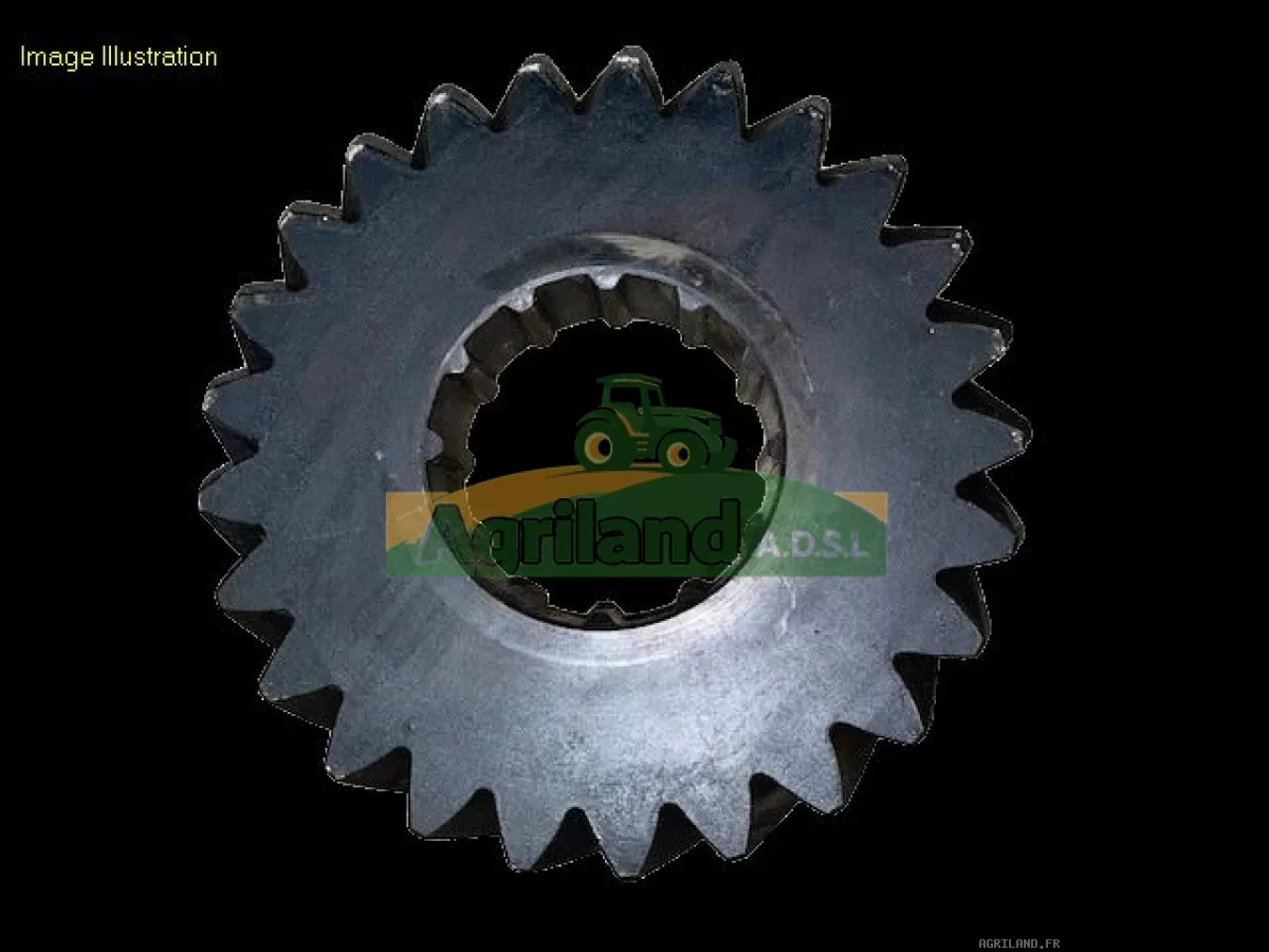 PIGNON Z25 (30KM/H, 40KM/H)