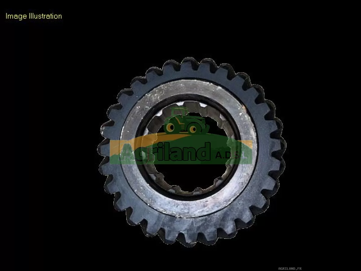 PIGNON Z28 (40KM/H, 50KM/H)