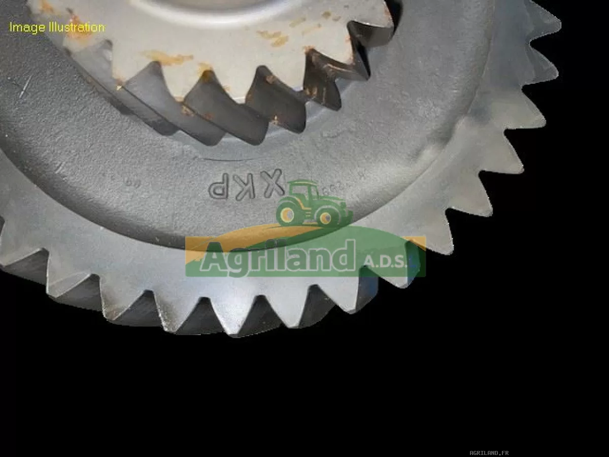 ARBRE D'ENTRAINEMENT AVEC PIGNON 