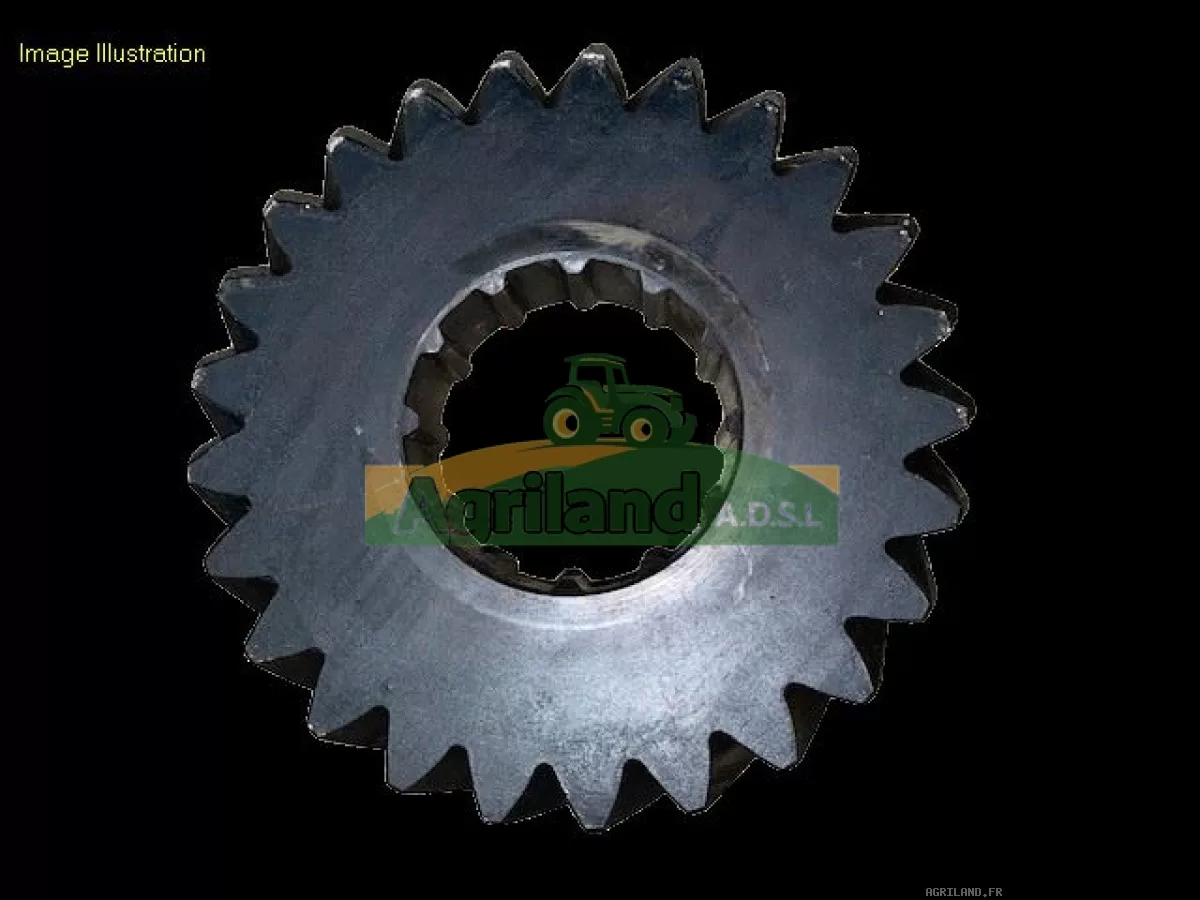 PIGNON Z25 (30KM/H, 40KM/H)