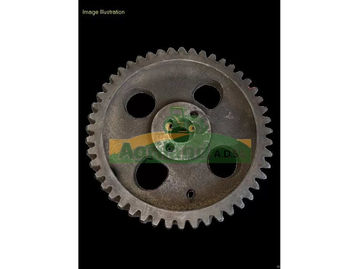PIGNON DE POMPE INJECTION Z48