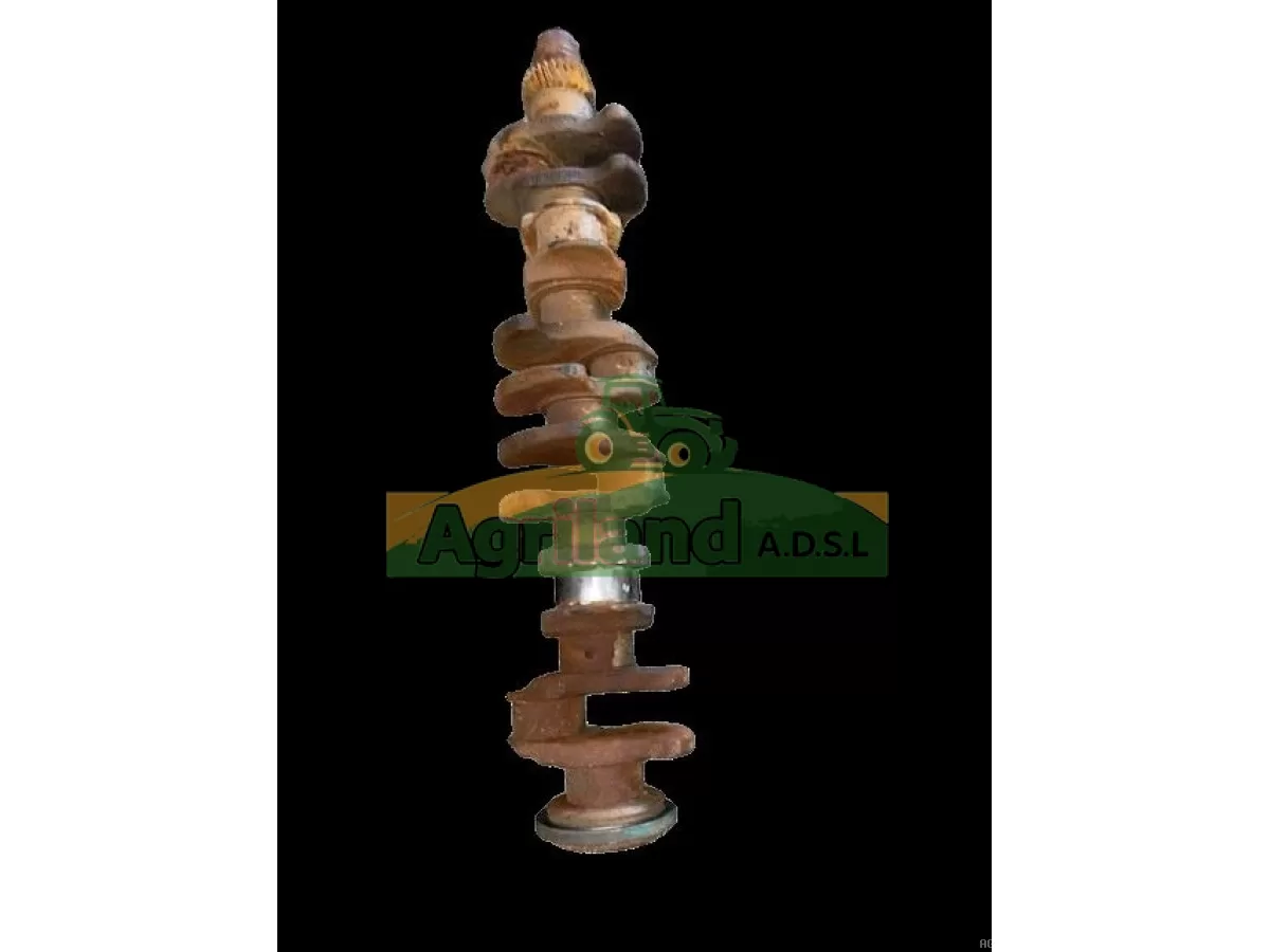 VILEBREQUIN RECONSTRUIT