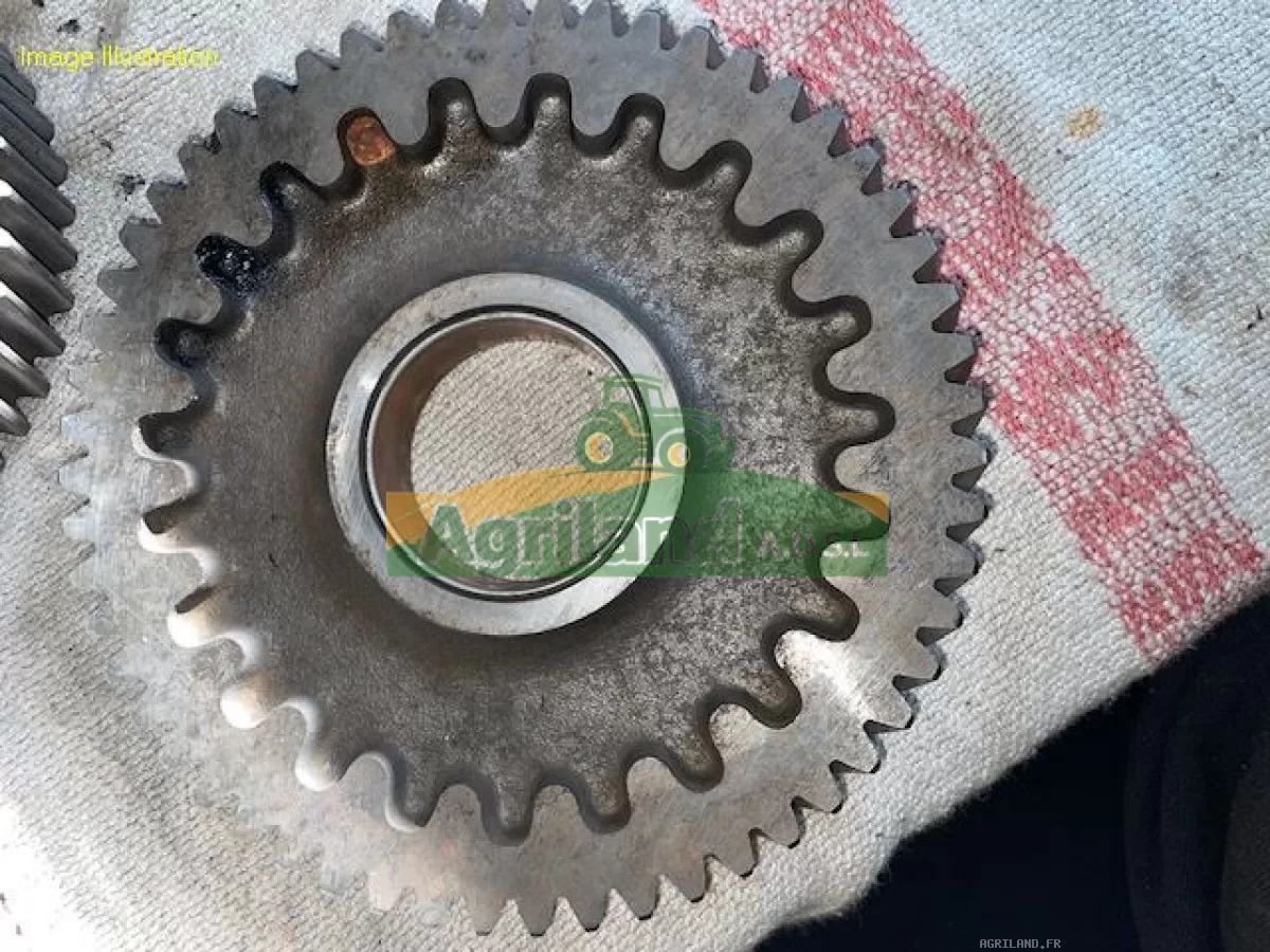 PIGNON DE DISTRIBUTION Z55