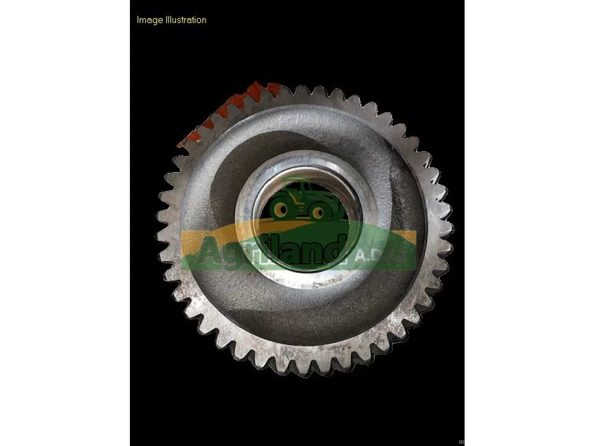 PIGNON DE DISTRIBUTION Z45