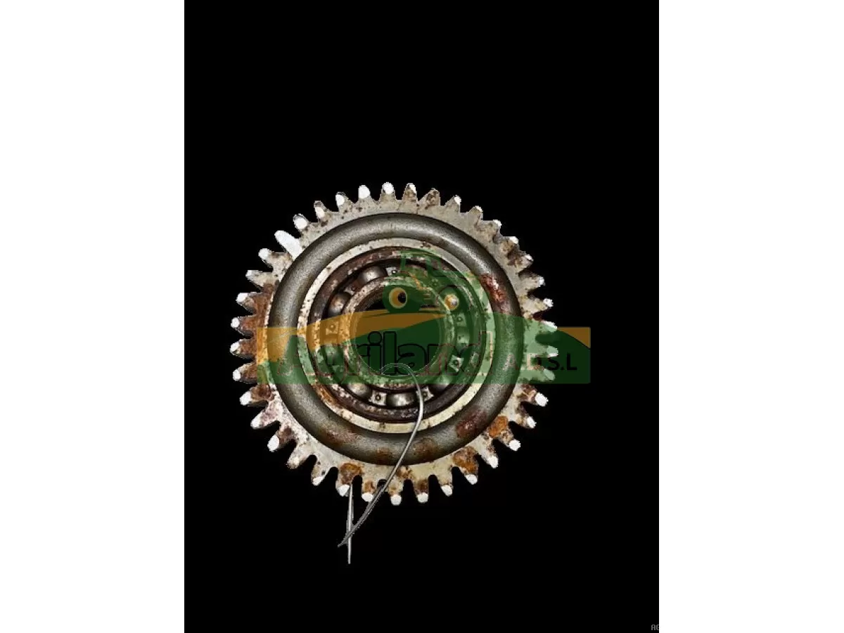 PIGNON INTERMEDIAIRE Z39