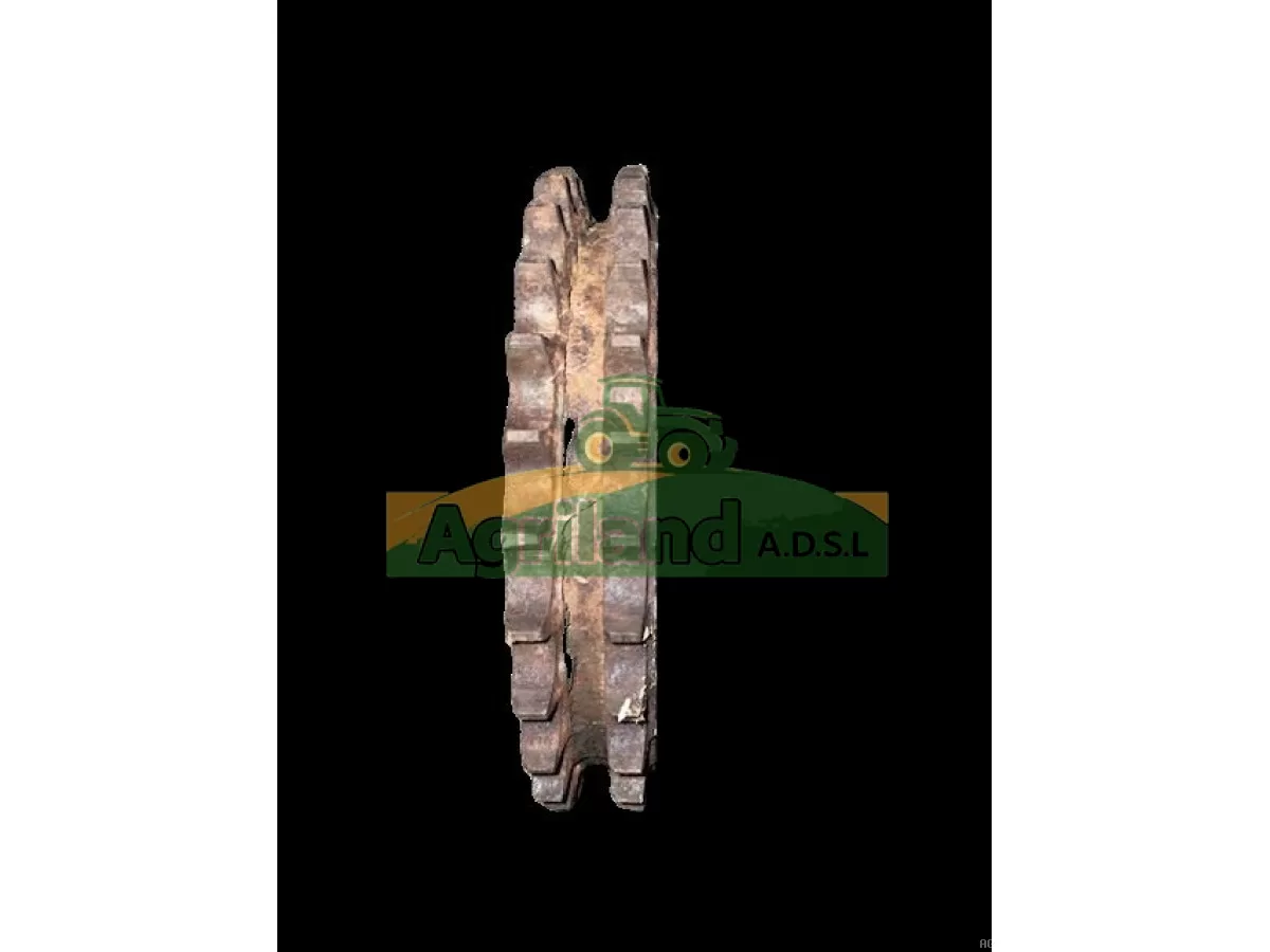 PIGNON DOUBLE Z29