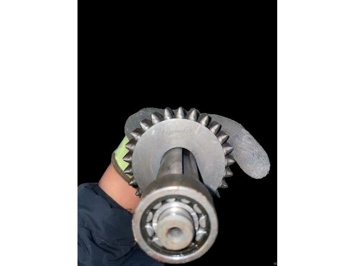 PIGNON Z25  AVEC ARBRE 