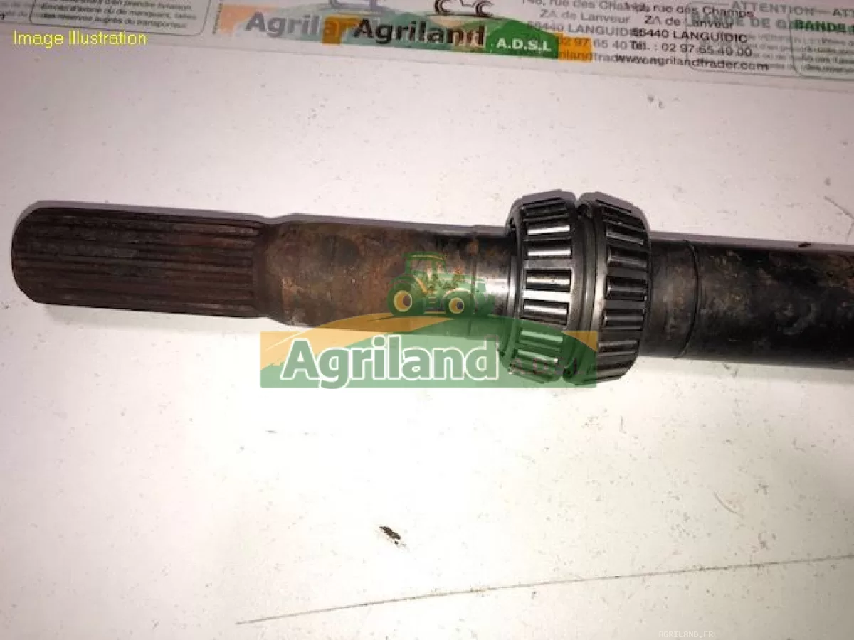 ARBRE D'ENTRAINEMENT 