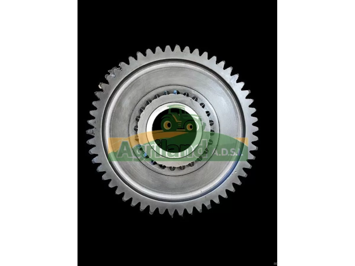 PIGNON D'ENTRAINEMENT Z54