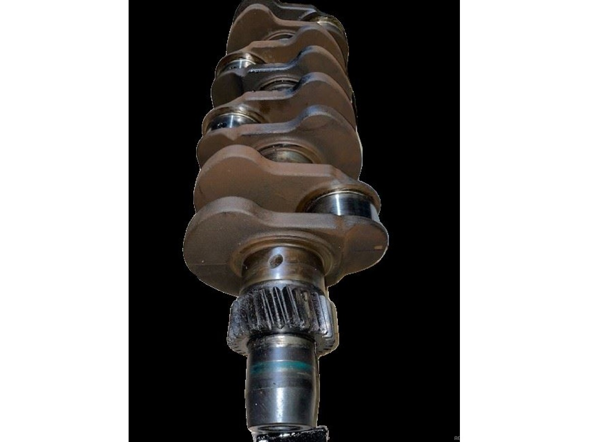 VILEBREQUIN AVEC PIG Z30