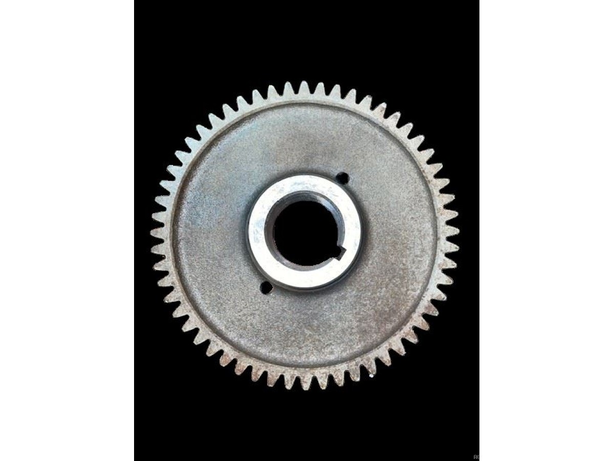 PIGNON DE L'ARBRE À CAMES Z56