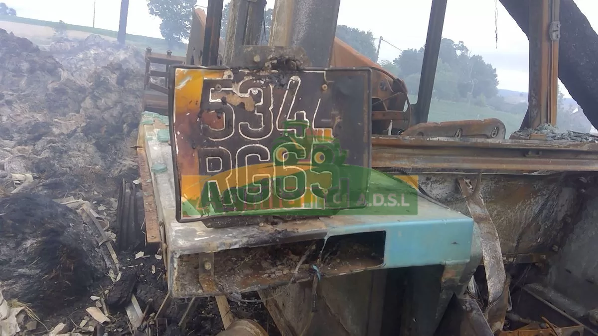 LANDINI 8880 DT 5344 RG 65